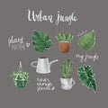 Set of Botanical Illustrations, Stickers, Urban Jungle, Digital sketch, Raster illustration Royalty Free Stock Photo