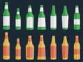 Set of bottles of beer in a flat style. Vector