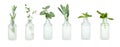 Set with bottles of different essential oils and leaves on white background. Banner design Royalty Free Stock Photo