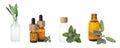 Set with bottles of different essential oils and leaves on white background. Banner design Royalty Free Stock Photo