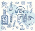 Set bottles Gin, rosemary, citrus, mint, cucumber Vintage hand drawn sketch design bar, restaurant, cafe menu Realistic