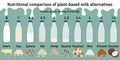 Set of bottles with plant-based milk. Vegan milk protein infographic