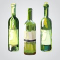A set of bottles of wine. Royalty Free Stock Photo