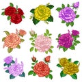 Set of Bouquet Flowers Multicolored Roses with Leaves Royalty Free Stock Photo