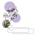 Set of  bouquet of iris flowers, lilac circles and frames. Hand drawn ink and colored sketch. Royalty Free Stock Photo