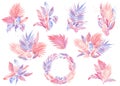 Set of Bouquets, pink and light lilac, coral color tropical leaves, Watercolor images