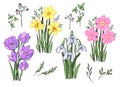 Set of bouquets of spring flowers. Vector graphics. Isolated elements