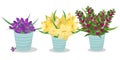 A set of bouquets of spring flowers in vases