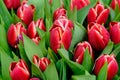 Set of bouquets of tulips of different colors in a street stall selling flowers, Estonia. Royalty Free Stock Photo