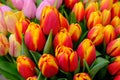 Set of bouquets of tulips of different colors in a street stall selling flowers, Estonia. Royalty Free Stock Photo