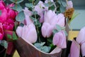 Set of bouquets of tulips of different colors in a street stall selling flowers, Estonia. Royalty Free Stock Photo