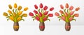 Set of bouquets with tulips in vase with bows. Different colors of flowers such as yellow, red and pink Royalty Free Stock Photo