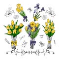 Set of bouquets with yellow tulips and viollet iris. Hand drawn colored sketch with tulip and iris flowers and leaves. Royalty Free Stock Photo