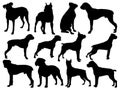 Set of Boxer Dog Silhouette vector art