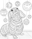 Adult coloring book,page a Christmas dog on the background with decoration ornaments for relaxing.Zentangle.