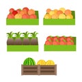 Set of Boxes with Fruits Vector Illustration. Royalty Free Stock Photo