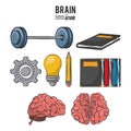 Set of brain icons