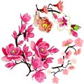 Set branch magnolia flower almond blossom, sakura cherry. vector