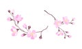Set of branches of blossoming cherry tree. Sakura twigs with pink flowers vector illustration