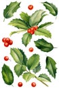 Set of branches, leaves, holly berries on a white background, watercolor botanical illustration, Christmas clipart Royalty Free Stock Photo