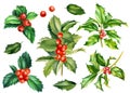 Set of branches, leaves, holly berries on a white background, watercolor botanical illustration, vintage elements Royalty Free Stock Photo