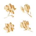 A set of branches of magnolia flowers with a golden gradient fill on a white background.