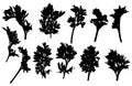 Set of branches of wormwood, silhouette. Vector illustration Royalty Free Stock Photo