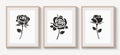 Set of braun wood frames with shadow on gray wall for interior design. Collection of decorative rose with leaf silhouette.