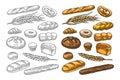 Set bread. Vector color vintage engraving