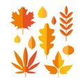 Set of bright autumn leaves in flat style. Stylized leaves of maple, Rowan, oak, birch, aspen, Linden. Autumn seasonal Royalty Free Stock Photo