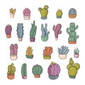 A set of bright beautiful unusual cacti of various shapes isolated on a white background. Different shapes of cacti and Royalty Free Stock Photo