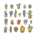 set of bright beautiful unusual cacti of various shapes isolated on a white background. Different shapes of cacti and Royalty Free Stock Photo