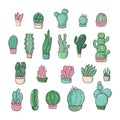 A set of bright beautiful unusual cacti of various shapes isolated on a white background. Different shapes of cacti and Royalty Free Stock Photo