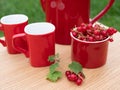 Set of bright ceramic tableware and red currant on the wooden table outdoors. Concept of summer picnic or time for a snack Royalty Free Stock Photo