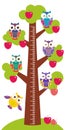 Set bright colorful owls Big apple-tree with green leaves and red apples on white background Children height meter wall