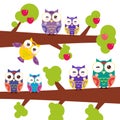 Set bright colorful owls on the branch of apple-tree with red apples on white background. Vector