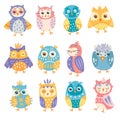 Set of bright colourful cute owls ceremony