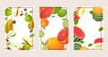 Set of bright fruits vector cartoon frames. Lime and grapefruits, pears, cherries and apples, melons, and watermelons.
