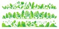 A set of bright green and lettuce tropical leaves and plants. Royalty Free Stock Photo