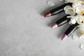 Set of bright lipsticks and spring flowers on grey background, flat lay
