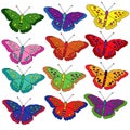 Set of bright multicolored butterflies, fantasy flying insects