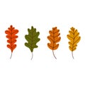 Set of bright oak autumn leaves. Vector illustration in a flat style. Elements for autumn design and design for Halloween Royalty Free Stock Photo