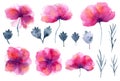 Set of bright pink watercolor poppies flowers Royalty Free Stock Photo