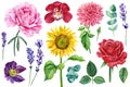 Plant and flower set on white background, watercolor hand drawing, rose, peony, lavender, sunflower, orchid, eucalyptus