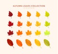 Autumn leave collection