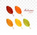 Autumn leave collection