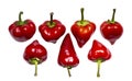 Set of bright red hot habanero peppers on white isolated