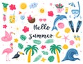 A set of bright summer decorative elements. Cocktails, botanical elements, marine animals, flamingo shells. Cute vector