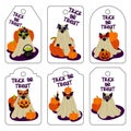 Set of bright tags for Halloween with cute cats in costumes, vertical. Illustration of greeting cards for printing. Bright design Royalty Free Stock Photo