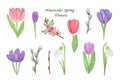 A set of bright and tender watercolor first spring flowers, floral pattern for spring holiday celebration design